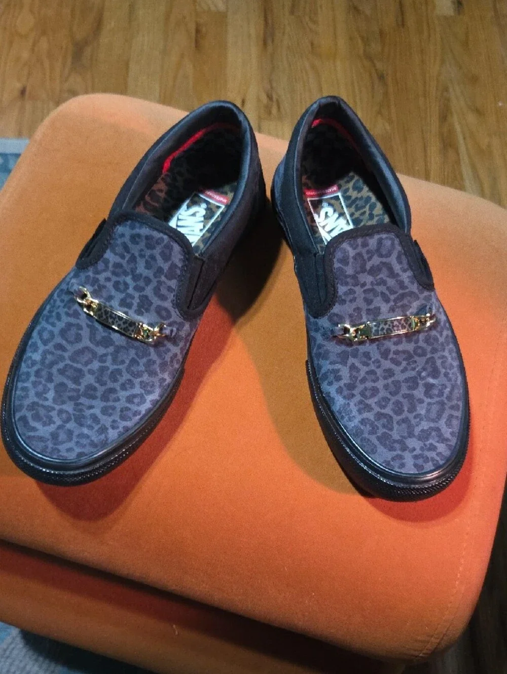 Vans X Cher Strauberry Skate Slip On US Men's Sz 8